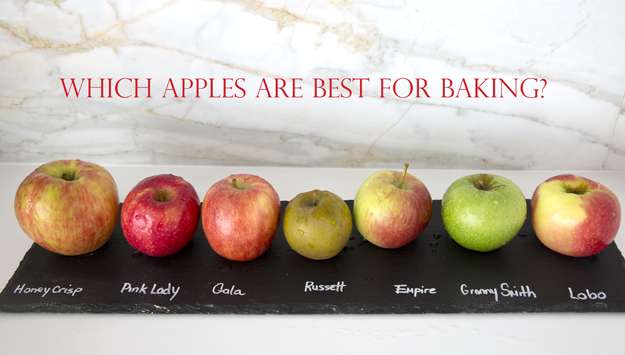 Types of Apples: 10 Best Varities for Snacks, Salads, and Baking