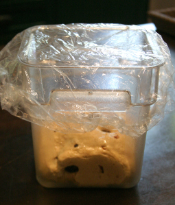 Dough set to ferment (with shower cap)