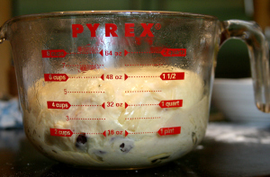 dough ready for fermentation