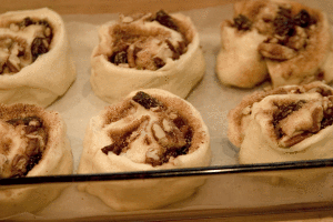 Cinnamon buns ready for proofing in the fridge.