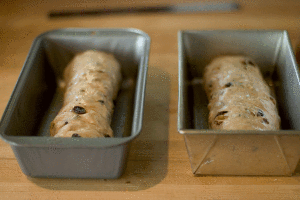 into-the-pan-for-proofing