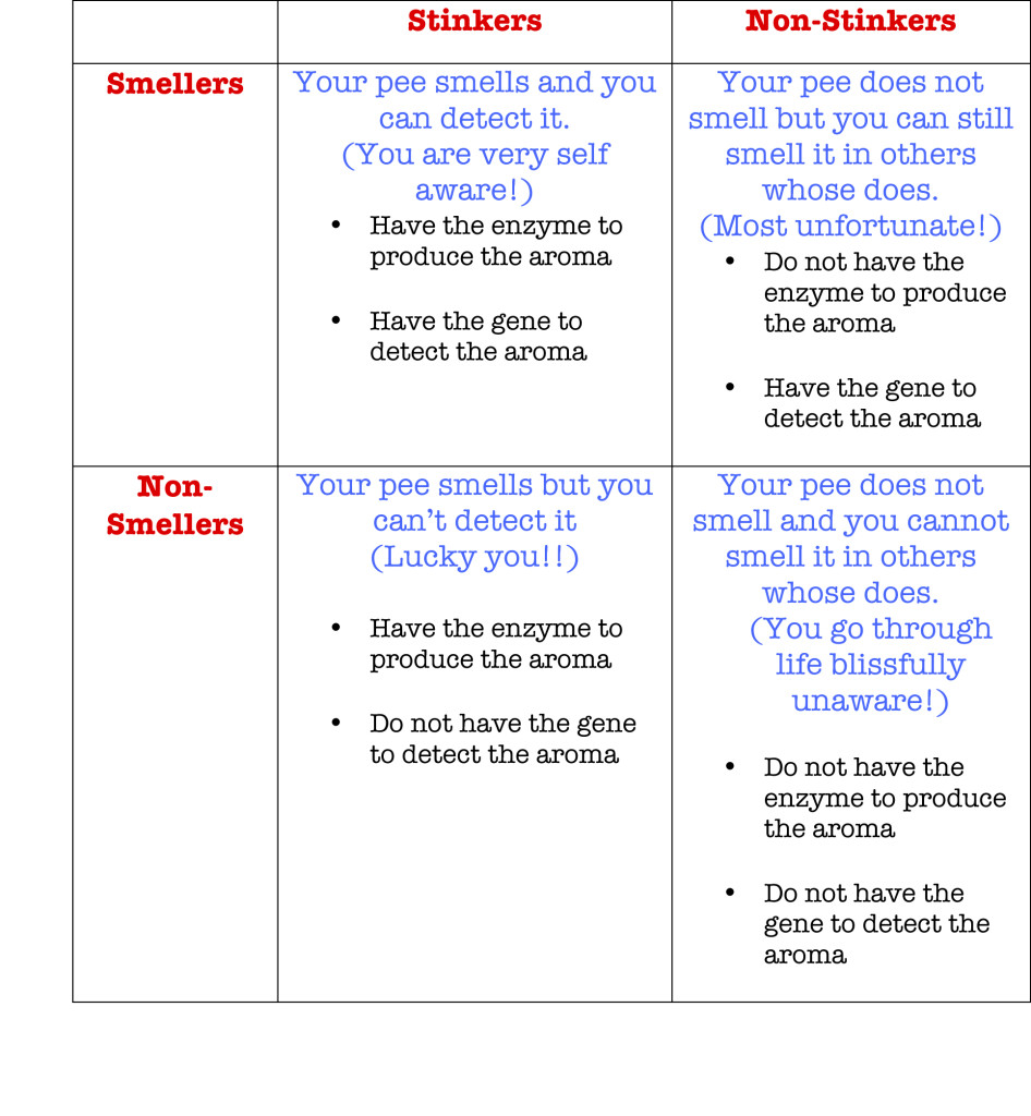 Microsoft Word - Stinkers and smellers.docx